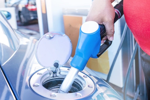 קרדיט תמונה FREEPIK