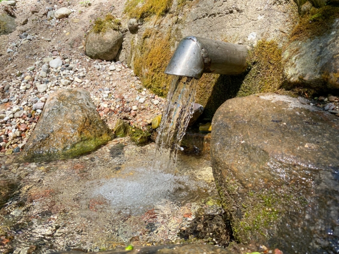 קרדיט תמונה FREEPIK