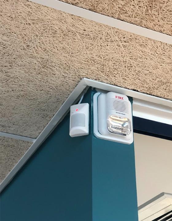 קרדיט לתמונה: פרוג'קט