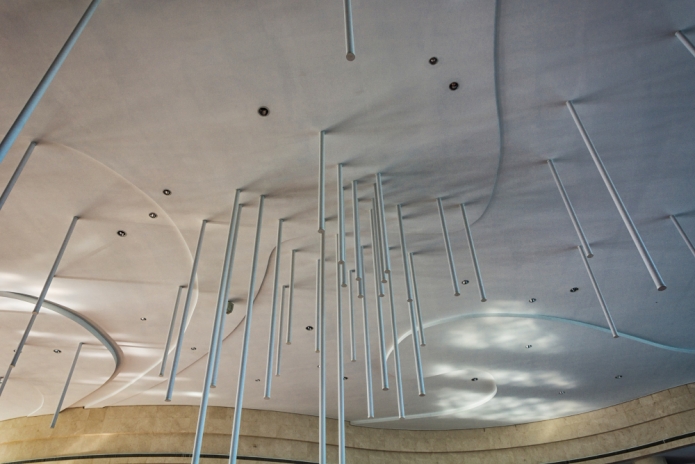 קרדיט תמונה FREEPIK