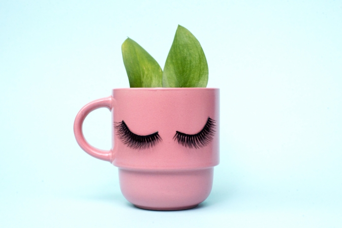 קרדיט תמונה FREEPIK