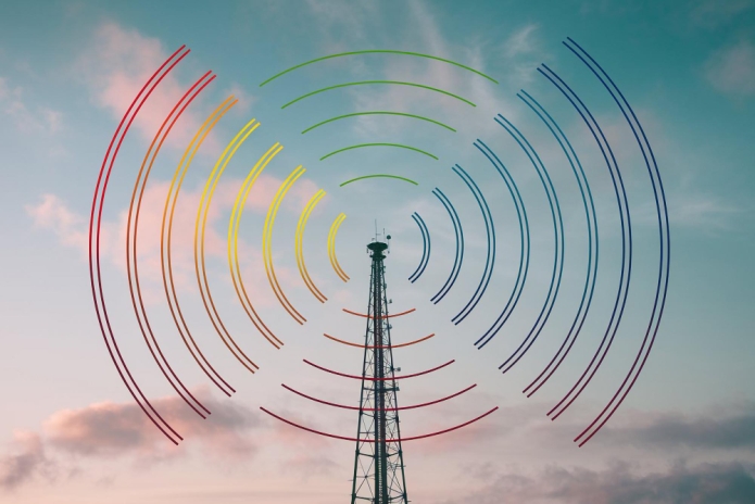 קרדיט תמונה FREEPIK