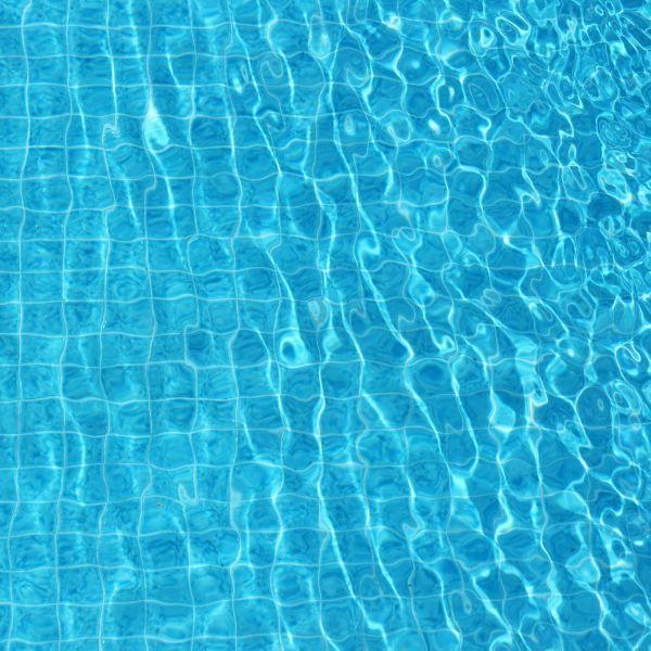 קרדיט תמונה FREEPIK