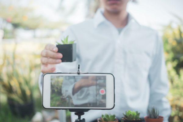 קרדיט תמונה FREEPIK