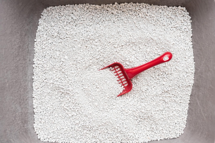 קרדיט תמונה FREEPIK