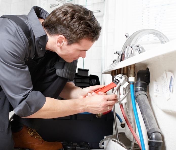 קרדיט לתמונות PIXABAY