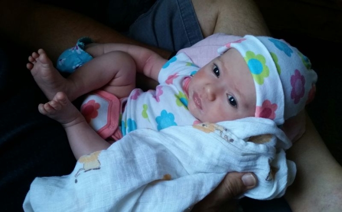 קרדיט תמונה FREEPIK