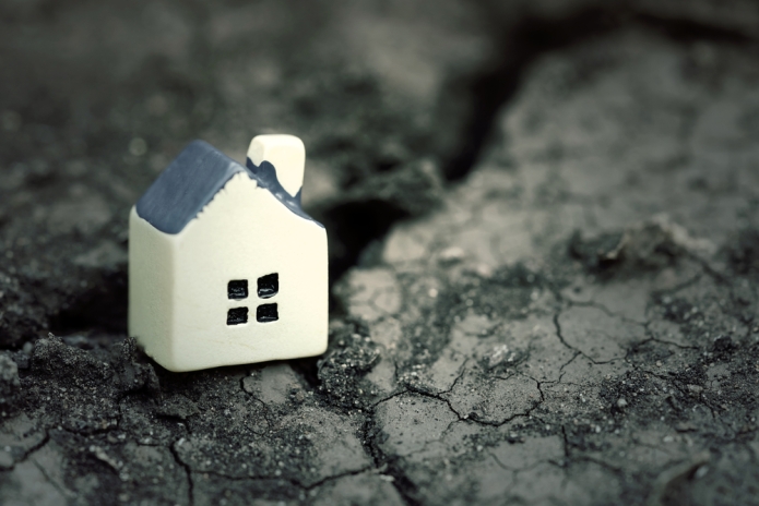 קרדיט תמונה: shutterstock