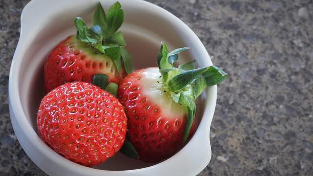 קרדיט לתמונות PIXABAY