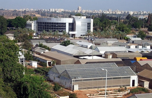 מכון וולקני