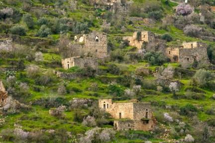 צילום: אורטל צבר