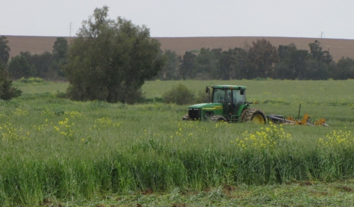 אילוסטרציה - עיבודים בלתי חוקיים (צילום: רשות מקרקעי ישראל)