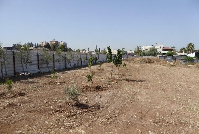 הפלישה של משפחת אבו סיאם בלוד. צילום: רשות מקרקעי ישראל