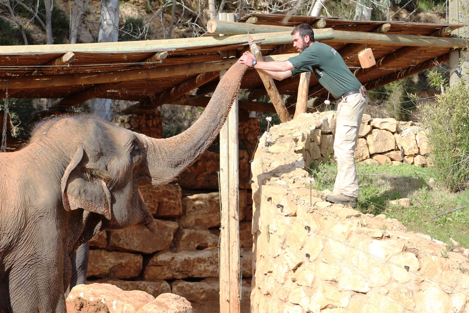 צילום: גן החיות התנ"כי