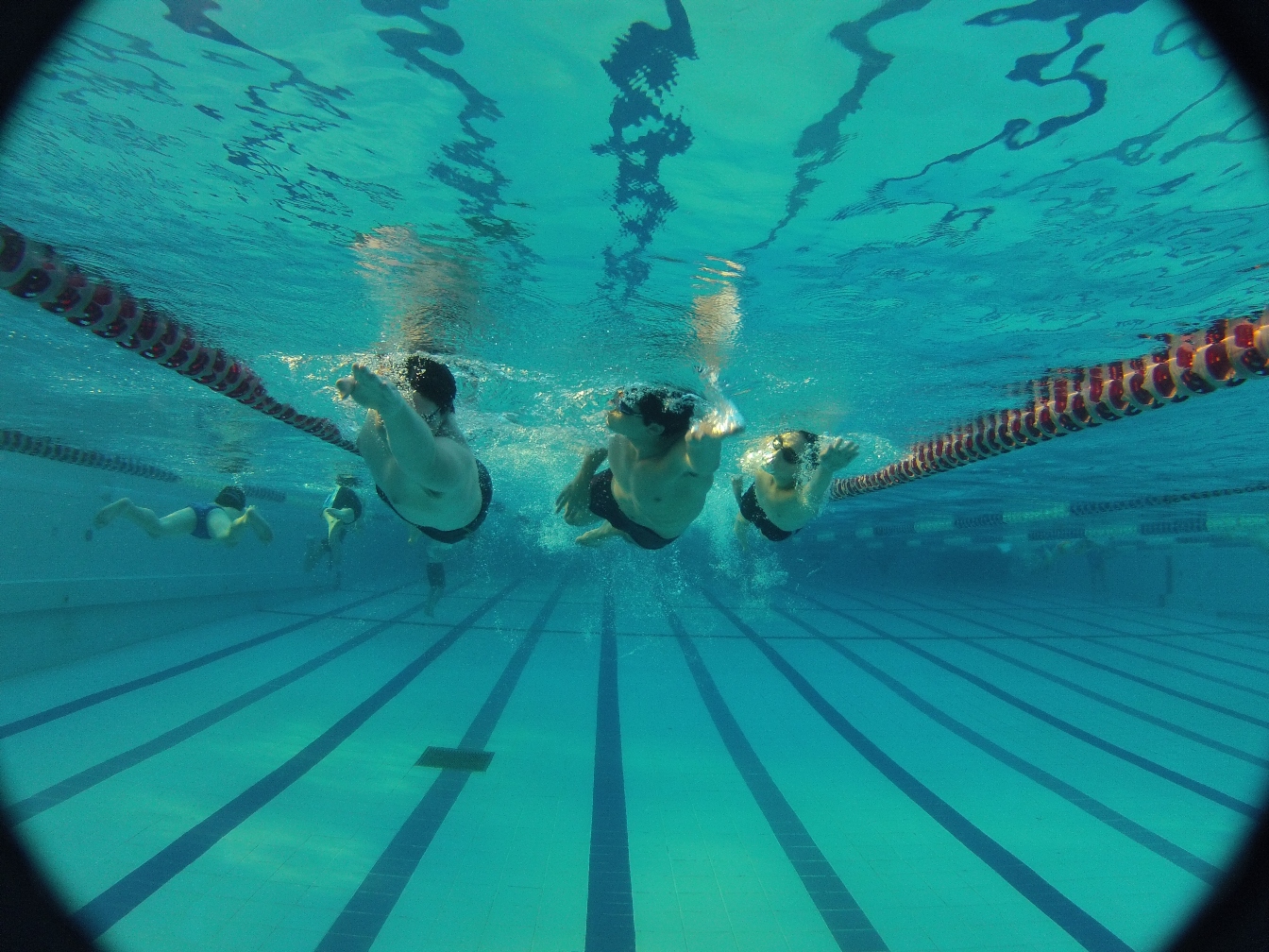 צילום: אורי סלע