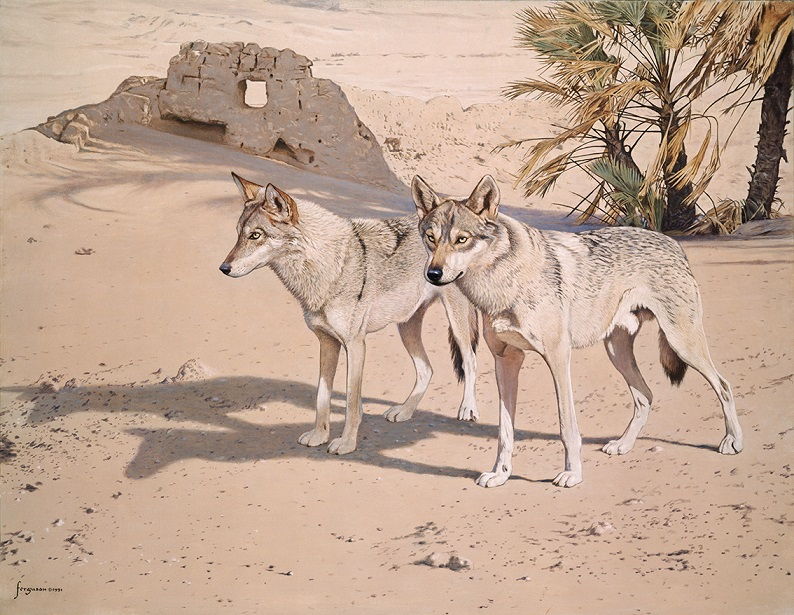 יצירותיו של האמן וולטר פרגסון