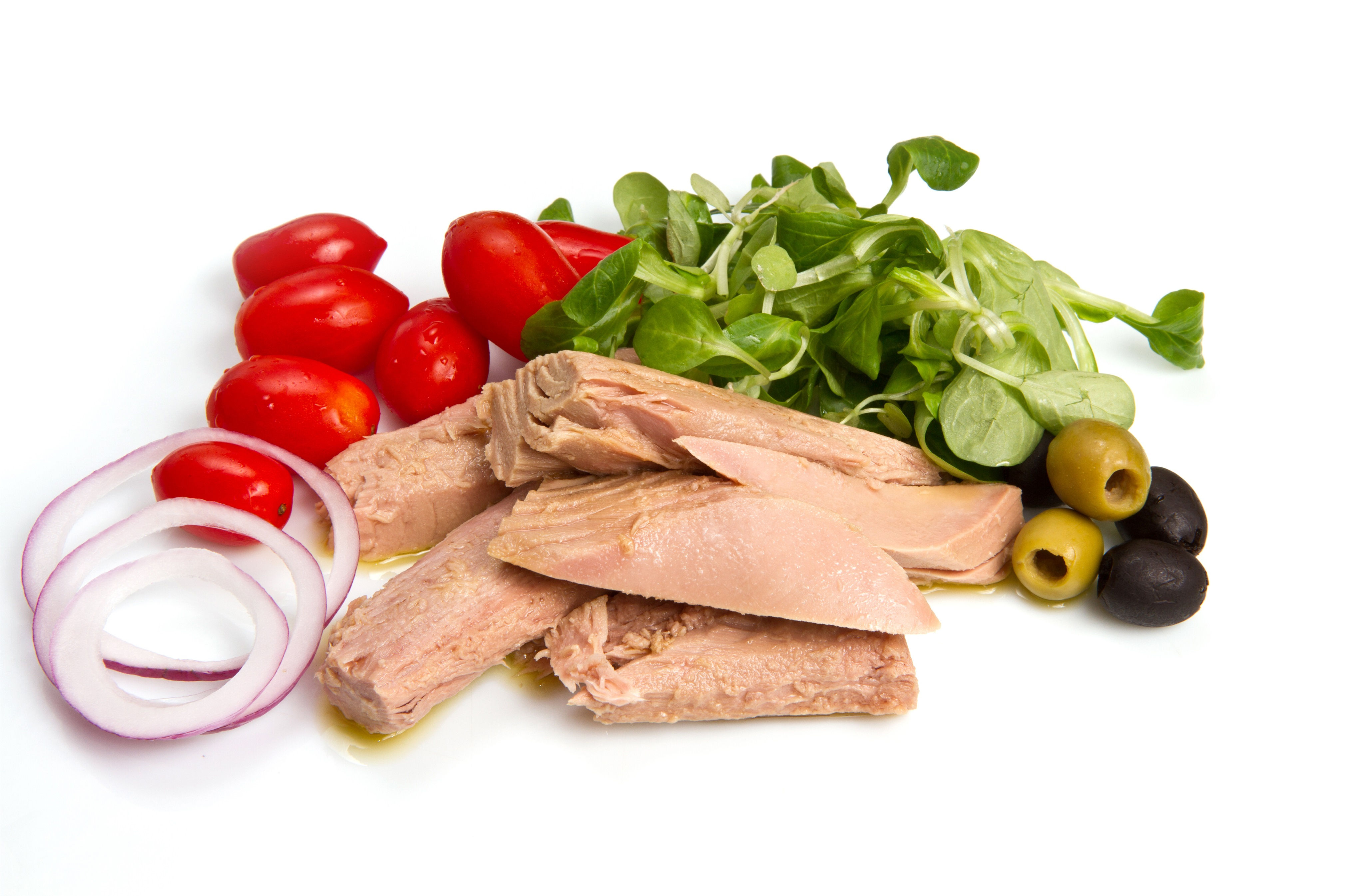  צילום: ניר עצמון