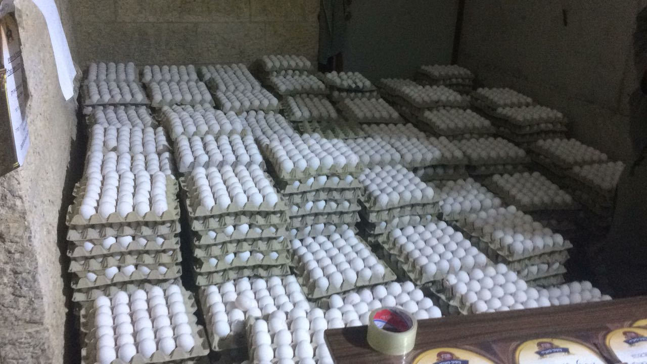 צילום: משרד החקלאות