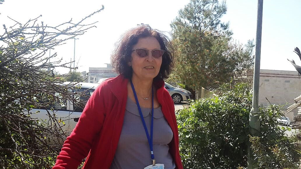 צילום: לשכה מרכזית לסטטיסטיקה