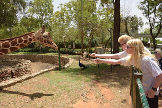 כ-160 ילדים עיוורים וילדים של עיוורים חגגו היום בר-מצווה בספארי.  צילום: אבי חיון