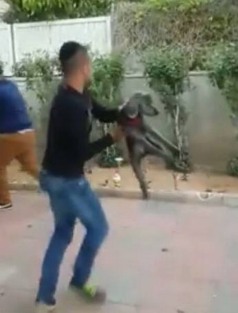 מתוך הסרטון