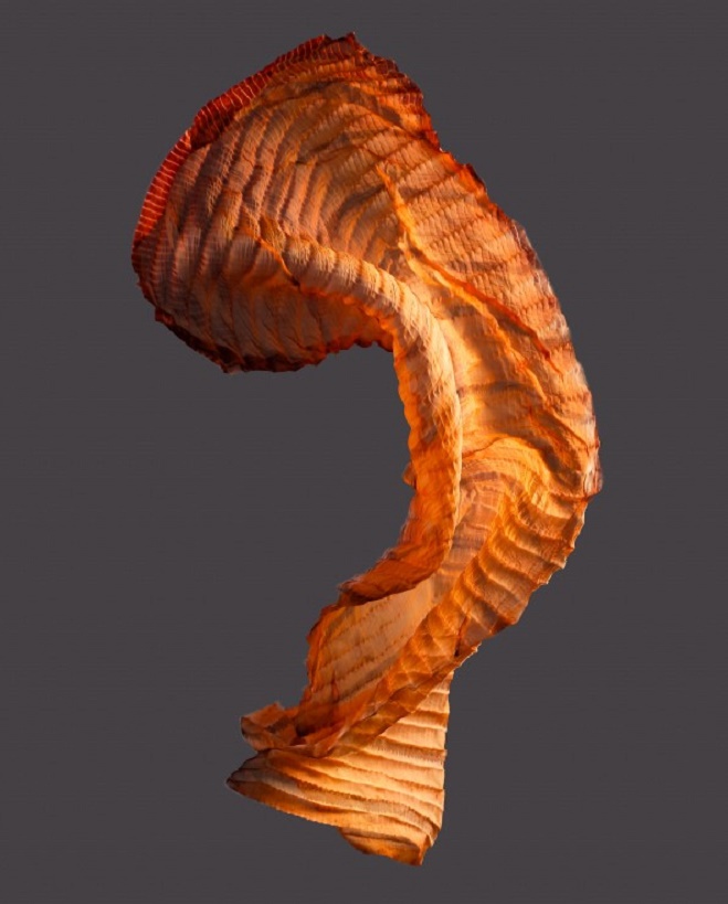 אלוני חן - Soft Tools(צילום:אחיקם בן יוסף)