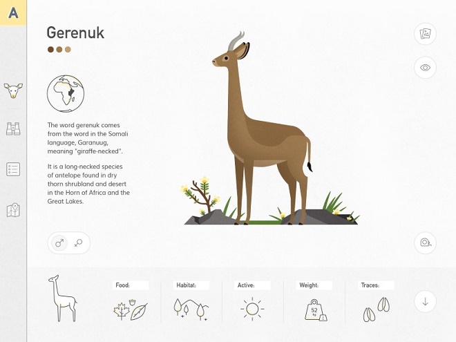 קימחי אייל - Anomaly(צילום:יח"צ שנקר)