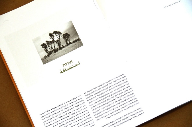 רז מתן(צילום: יח"צ)