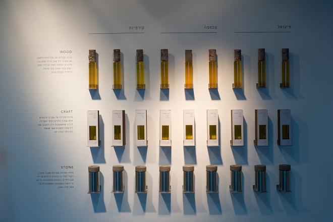 שלי צור(צילום:נמרוד סונדרס)