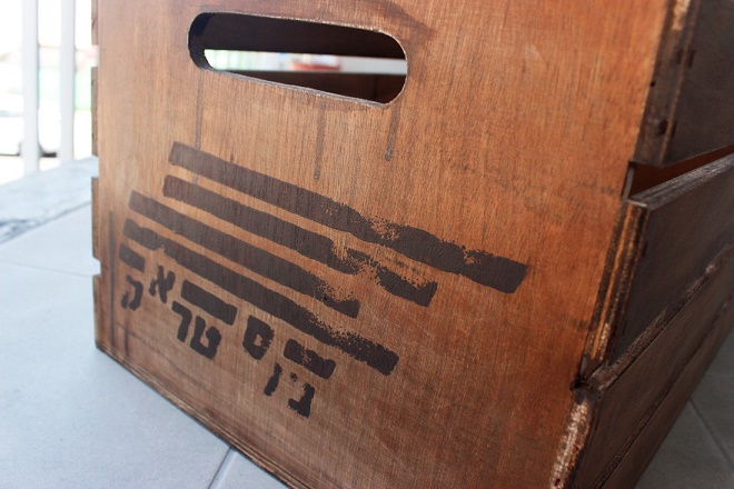 שירה אקשטיין(צילום: יח"צ)