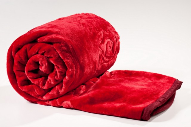 כירבולית(צילום: שחר תמיר ) homesmeha