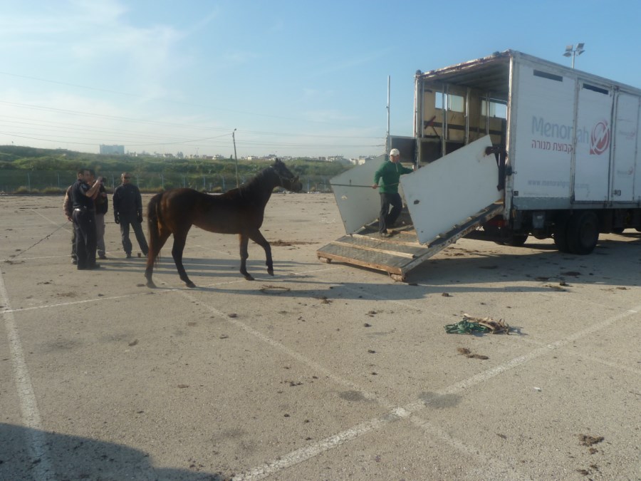 (צילום: רשות מקרקעי ישראל)