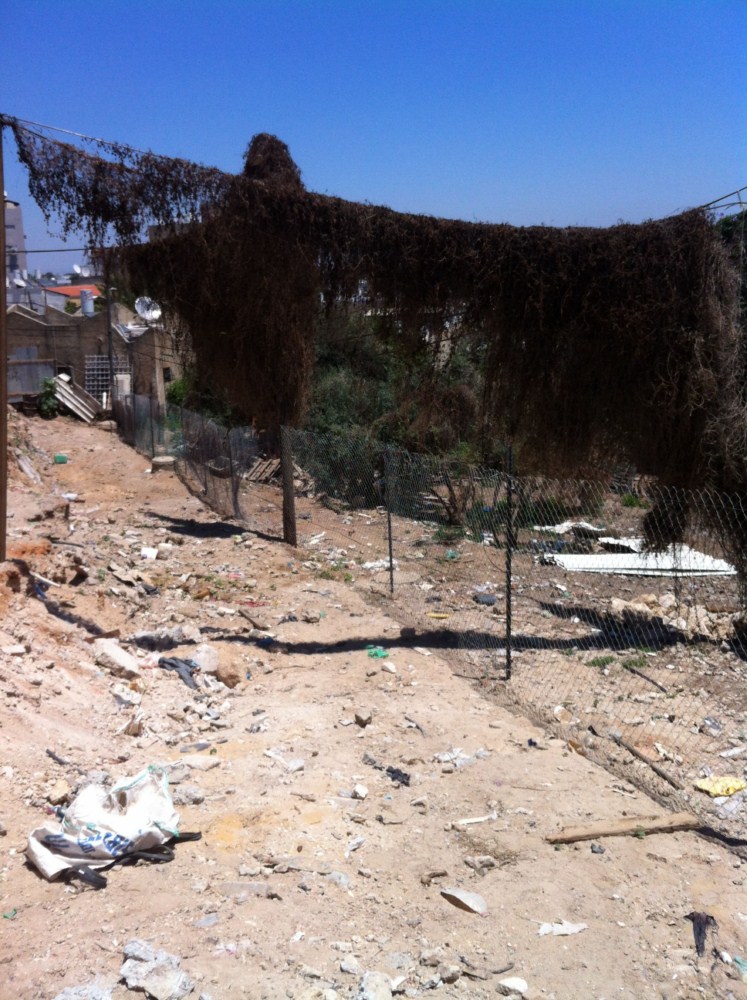 פינוי עצמי ביפו (צילום:רשות מקרקעי ישראל)