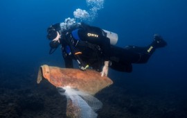 כשישים צוללנים ניקו את הים באזור חופי הגליל המערבי במסגרת 'שבוע האוקיינוסים הבינלאומי' צוללן במהלך ניקיון שמורות אכזיב וראש הנקרה בגליל המערבי. צילום אורן קליין