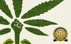 גאווה ישראלית: הספר "מלחמות הקנאביס" זכה במדליית הזהב בGlobal Books Award Cannabis Wars