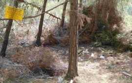 מבשרת ציון: מבנה בלתי חוקי שהוקם על ידי אלמונים במסגרת פלישה לאדמות יער, פונה בפעולת אכיפה של רמ"י וקק"ל בליווי המשטרה פלישה ביער קקל ליד מבשרת ציון (צילום: רשות מקרקעי ישראל)