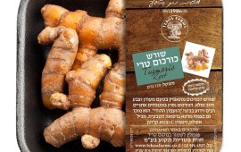 החלה עונת הכורכום הטרי שורש כורכום טרי של חוות תקוע