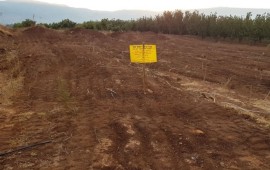 רשות מקרקעי ישראל סיימה שלב נוסף בקידום תכנית רב מכר-גלילות לאחר שמפקחים מטעמה סיימו את פינוי השטחים החקלאיים תמונת אילוסטרציה (צילום: רשות מקרקעי ישראל)