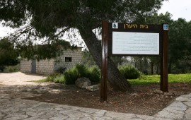 יום העצמאות ה-69: מדינת ישראל חוגגת בפארקים וביערות קק"ל חניון בית היערן-זרך נוף יער בית קשת. צילום: ארכיון הצילומים של קק