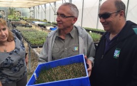 צמחים חסכוניים במים: שותלים והצמחים כבר צומחים לבד בתמונה: דני בן דויד מנהל נגב מערבי בקק