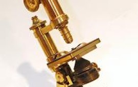 חוקרים מהאוניברסיטה העברית מצאו לראשונה דרך לעצור רעלנים קטלנים