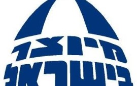 לדרישת יחימוביץ': גם מקררים כחול - לבן יסובסדו ע"י המדינה