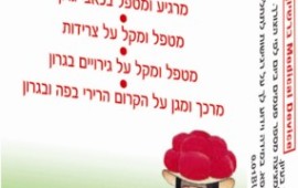 חדש: לכסניות אזוב איסלנדי לטיפול בכאבי גרון וצרידות tanneblot
