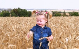 טיולים בסוכות: צפון הנגב מתעורר