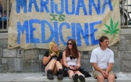 על הקשר בין קנאביס להתמודדות עם פוסט טראומה התמונה באדיבות: freepik